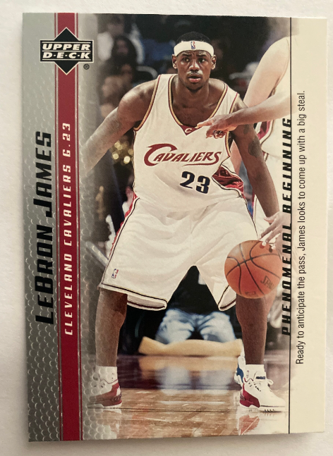 LeBron James Phenomenal Beginning #19