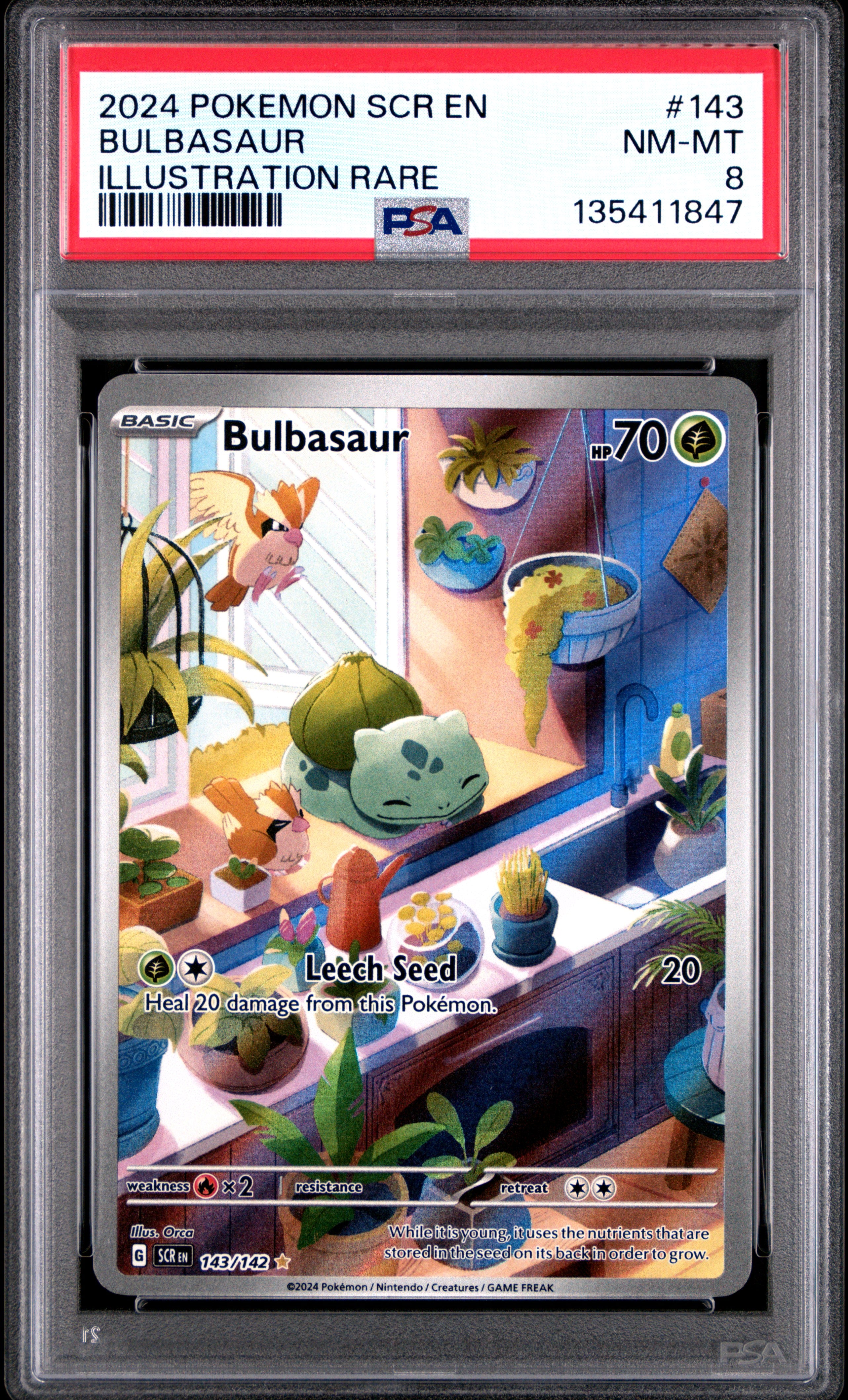 2024 POKEMON SCR EN-STELLAR CROWN #143 BULBASAUR ILLUSTRATION RARE PSA 8