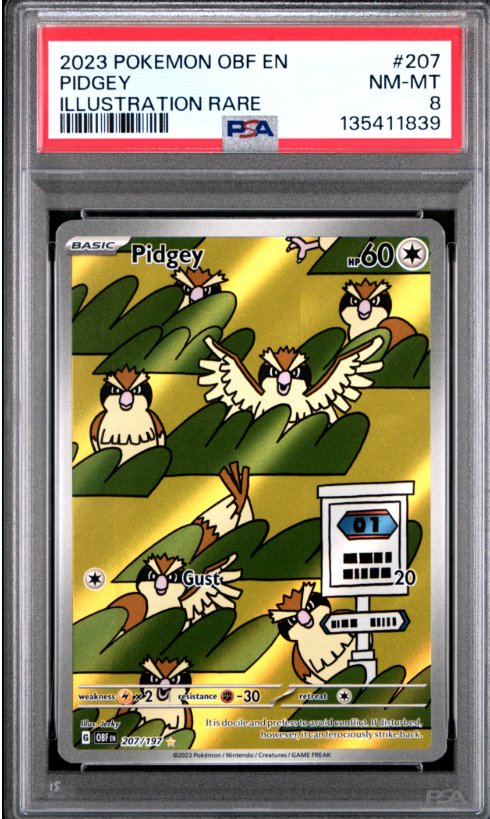2023 POKEMON OBF EN-OBSIDIAN FLAMES #207 PIDGEY ILLUSTRATION RARE